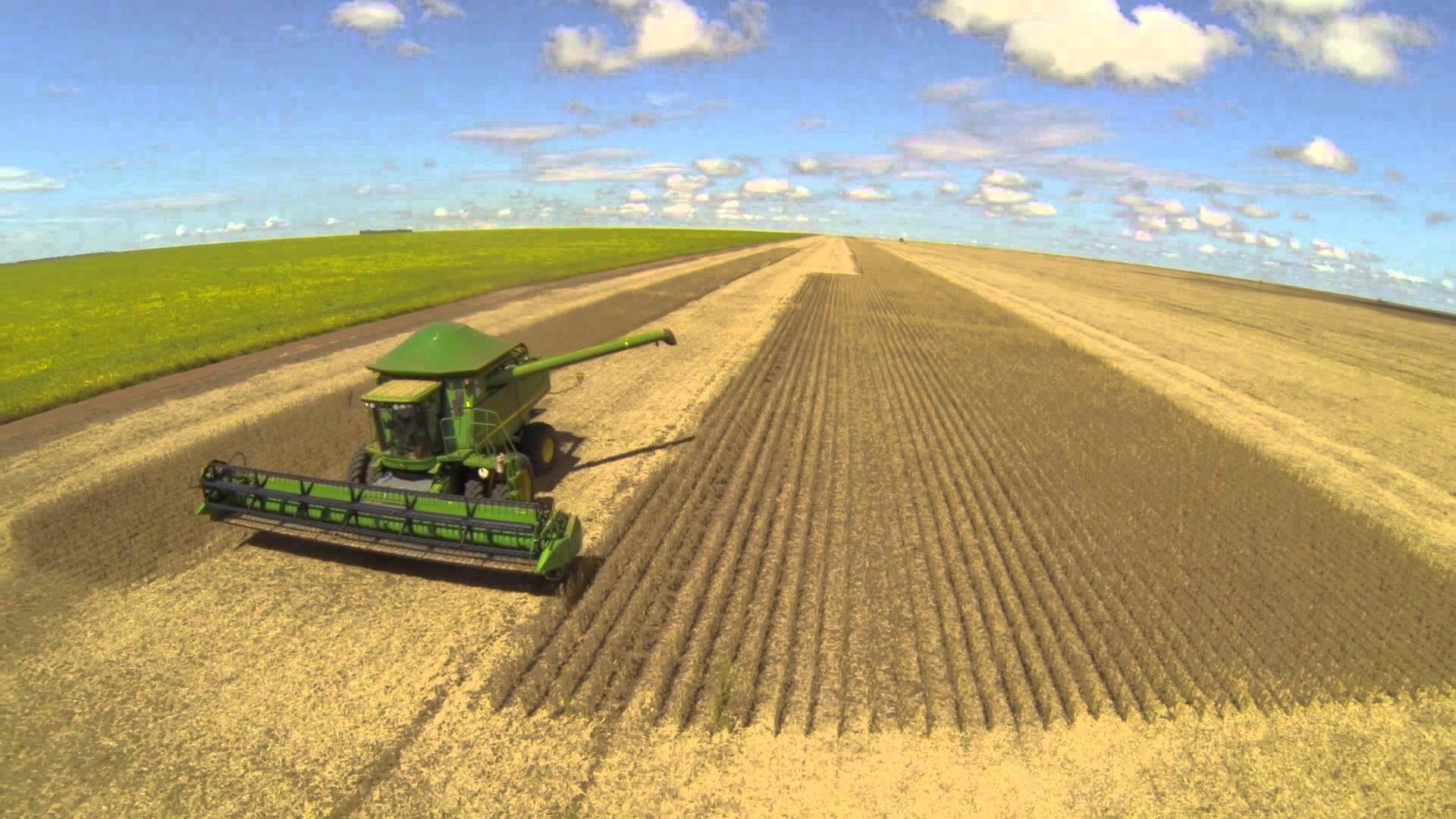 Guerra na Ucrânia: analistas preveem balança comercial recorde com alta das commodities