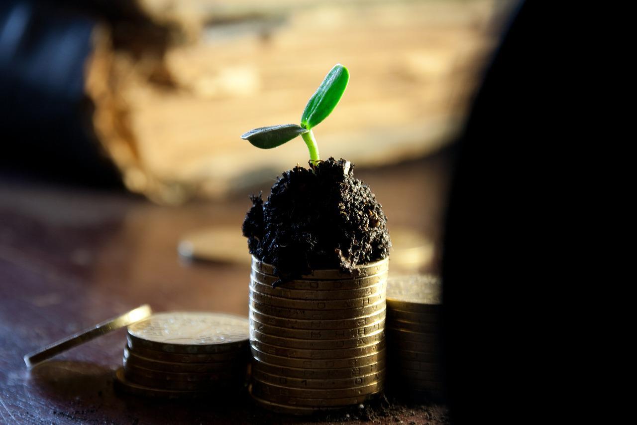 Imagem mostra moedas germinando uma planta.