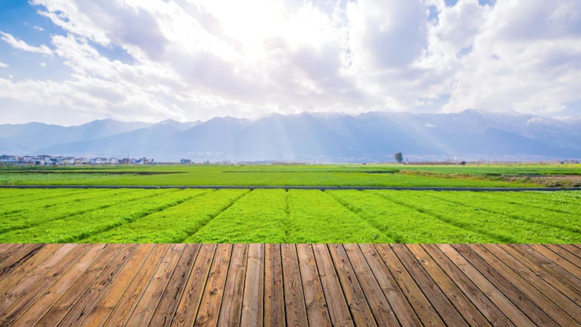 BrasilAgro (AGRO3): EQI Research recomenda compra, com preço-alvo de R$ 44