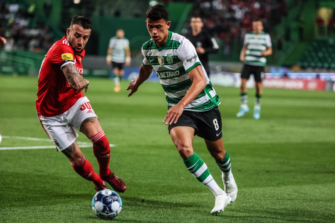 Clubes de futebol na bolsa de valores: veja em quais times você pode investir