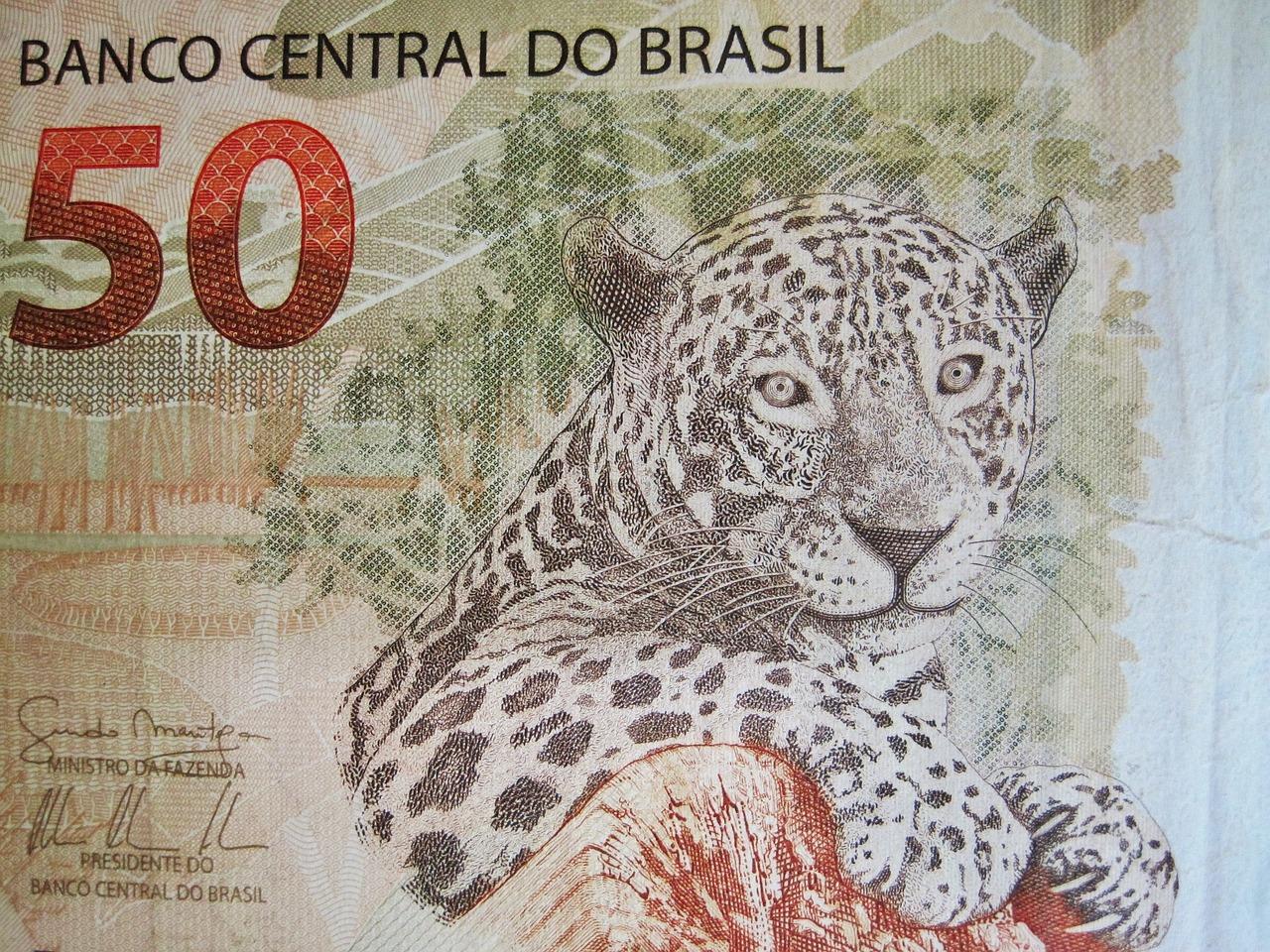 Imagem mostra uma nota de Real, o dinheiro brasileiro.