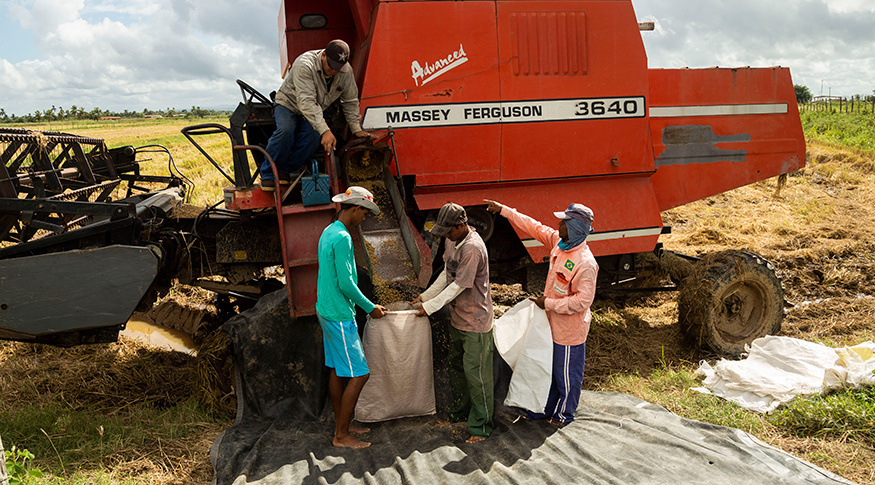 PNAD Contínua de janeiro tem alta no índice de desocupação
