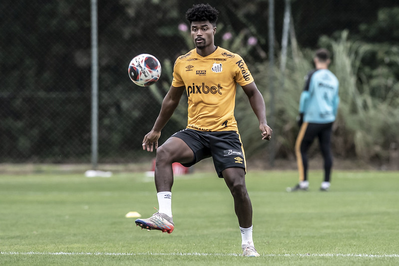 Apostas esportivas: entenda investigação em mercado ainda não regulado