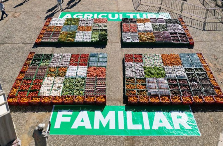 Governo destina R$ 71,6 bilhões para Plano Safra da Agricultura Familiar