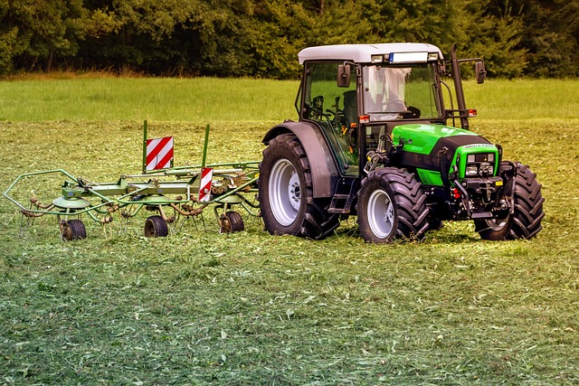 Produção agrícola: safra deve ser recorde este ano