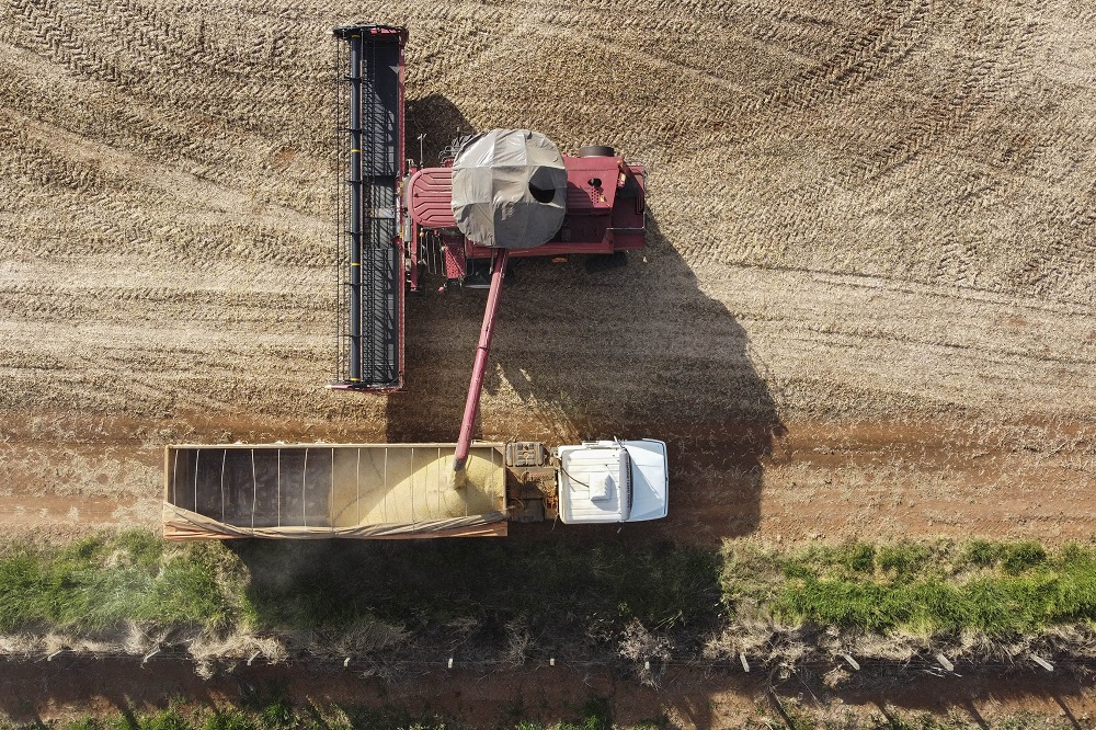 Boletim Macrofiscal: Fazenda reduz projeção de déficit e IPCA e amplia PIB