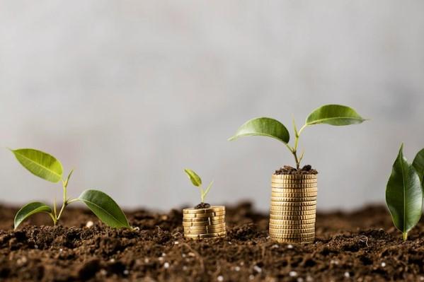 dividendo: estratégia de longo prazo - foto de pilha de moedas e plantas crescendo agenda de dividendos