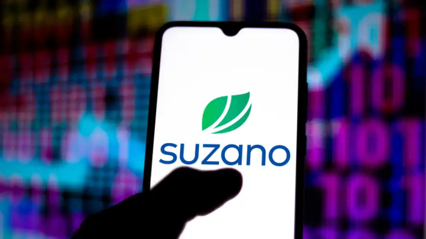 Suzano (SUZB3) anuncia aumento no preço da celulose e corta dividendos em 2023