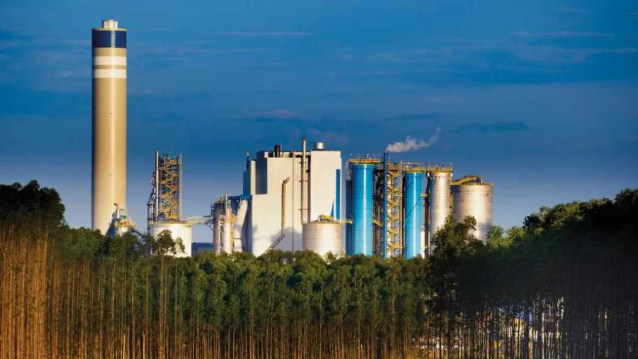 Suzano (SUZB3) reporta lucro líquido de R$ 5,078 bi no 2TRI23