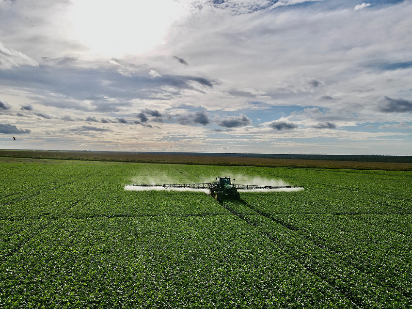 BrasilAgro (AGRO3) paga R$ 320 milhões em dividendos; saiba mais