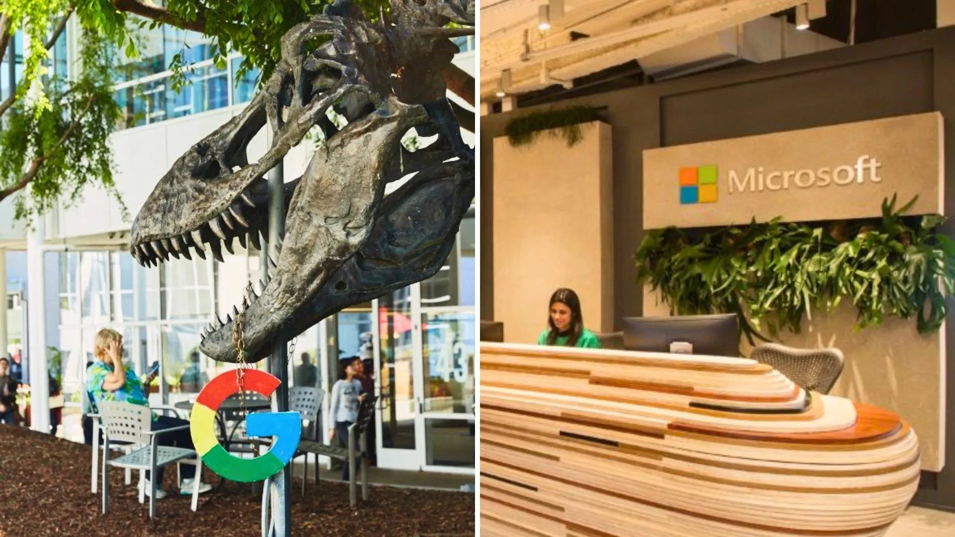 Alphabet e Microsoft: balanços do 1TRI24 superam expectativas do mercado