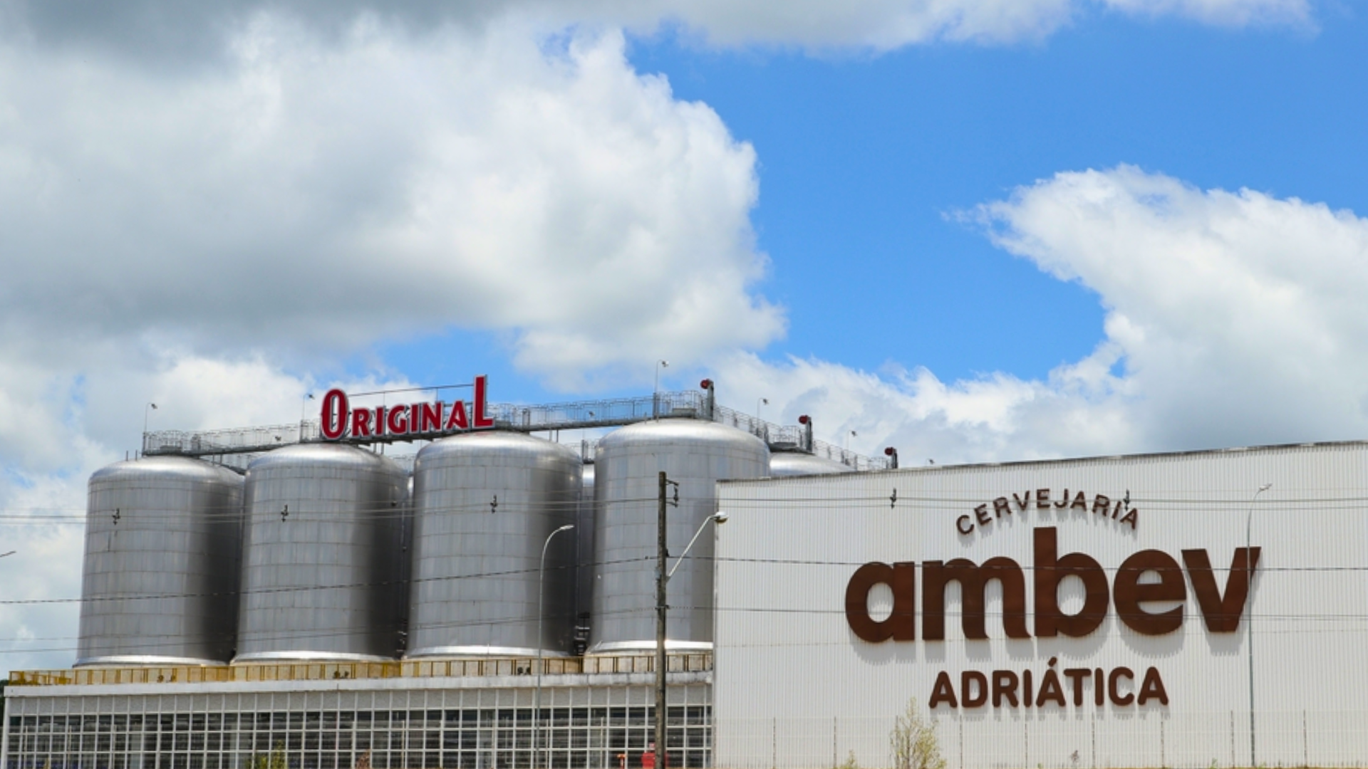 Ambev (ABEV3): lucro de R$ 3,56 bi no 3TRI24, com queda de 11,2% e crescimento da receita