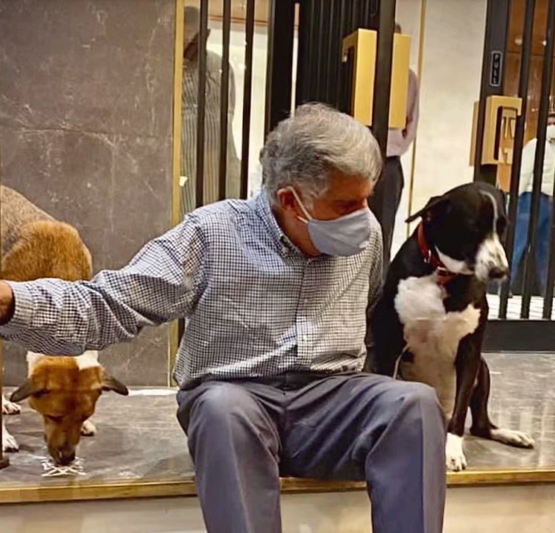 Empresário deixa herança para cachorro: mais de R$ 600 mi