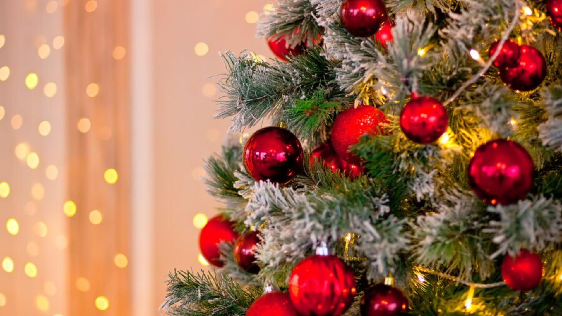 Existe mesmo Rally de Natal? Conheça um estudo que explica o fenômeno