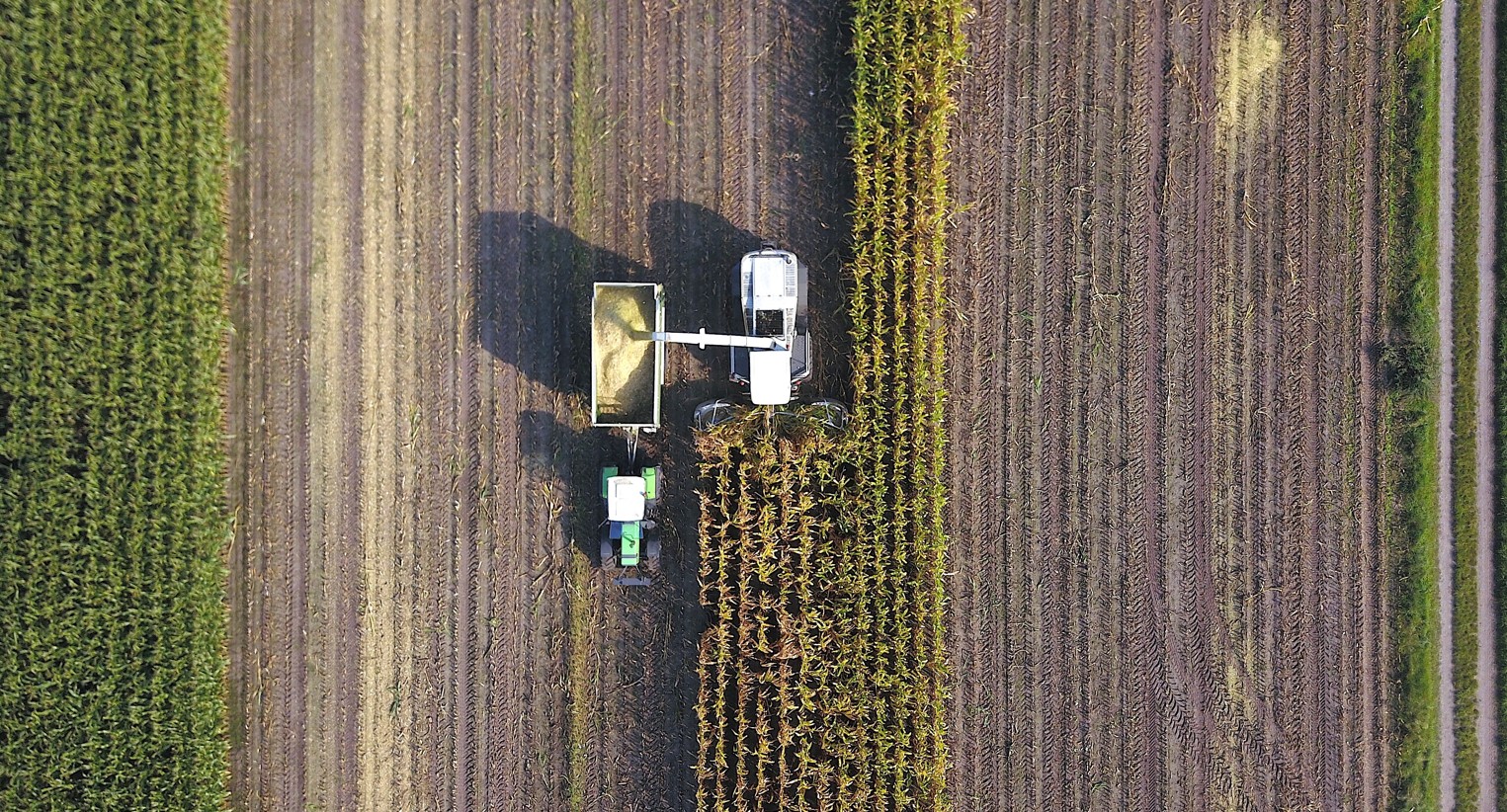 Fiagro: tudo o que você precisa saber para investir