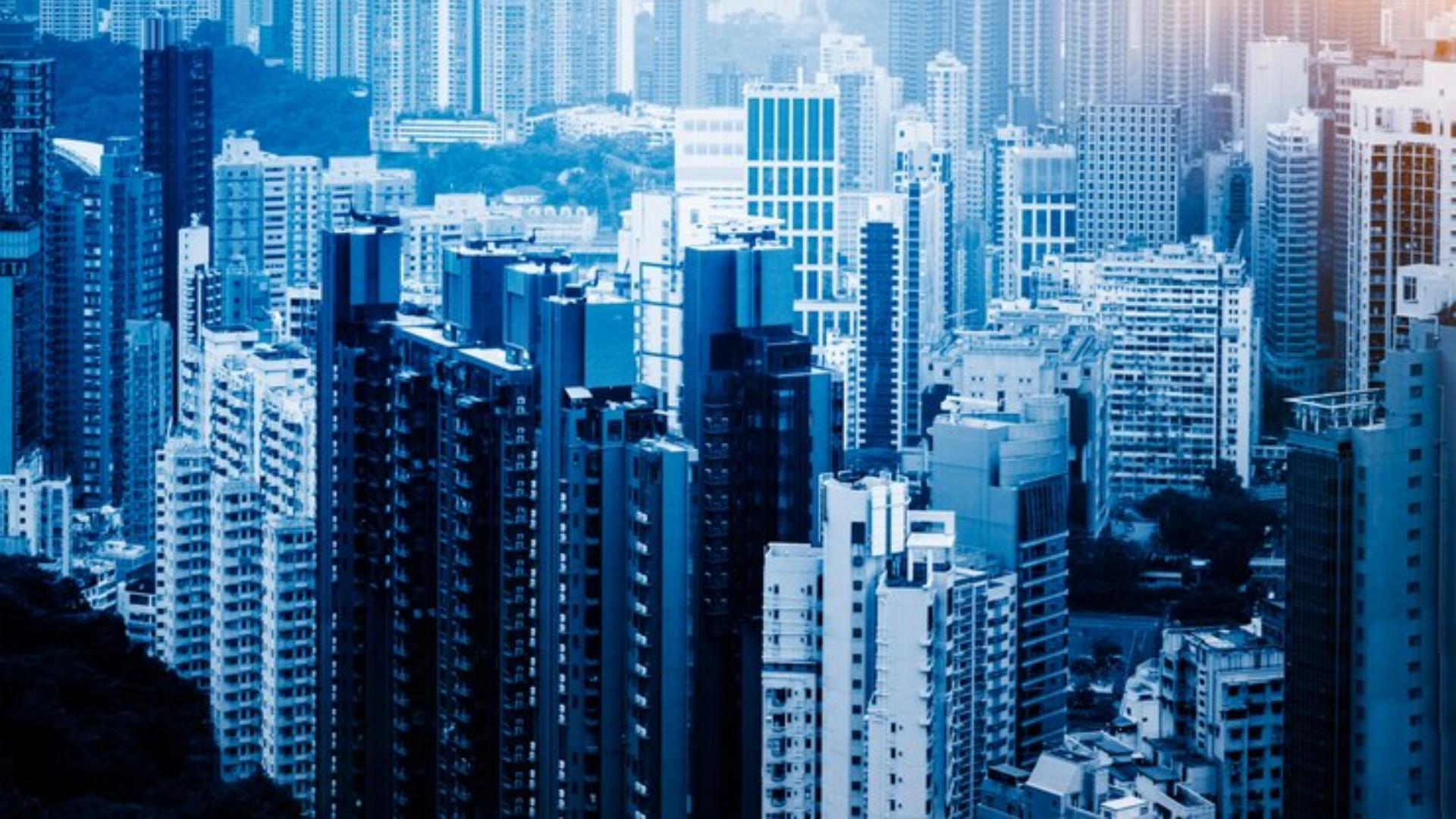 Fundo cetipado com retorno estimado de 17% ao ano: conheça o Riza