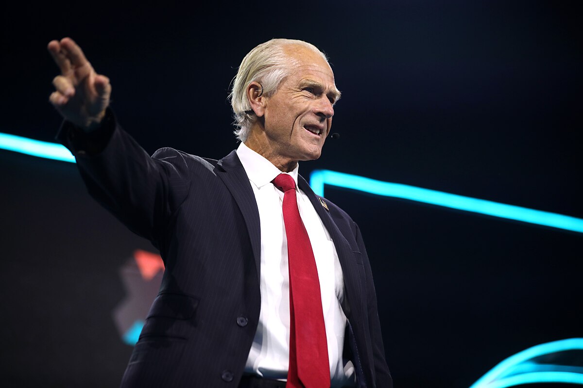 Peter Navarro x Elon Musk: entenda a disputa