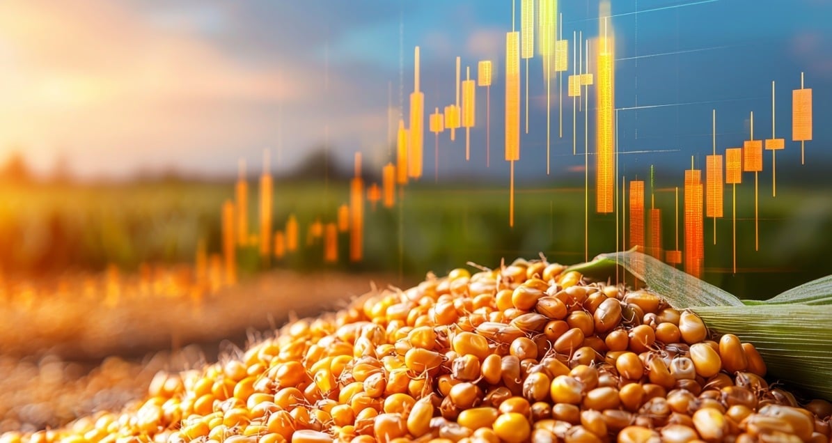 Quais ações brasileiras se beneficiam com a guerra comercial de Trump?