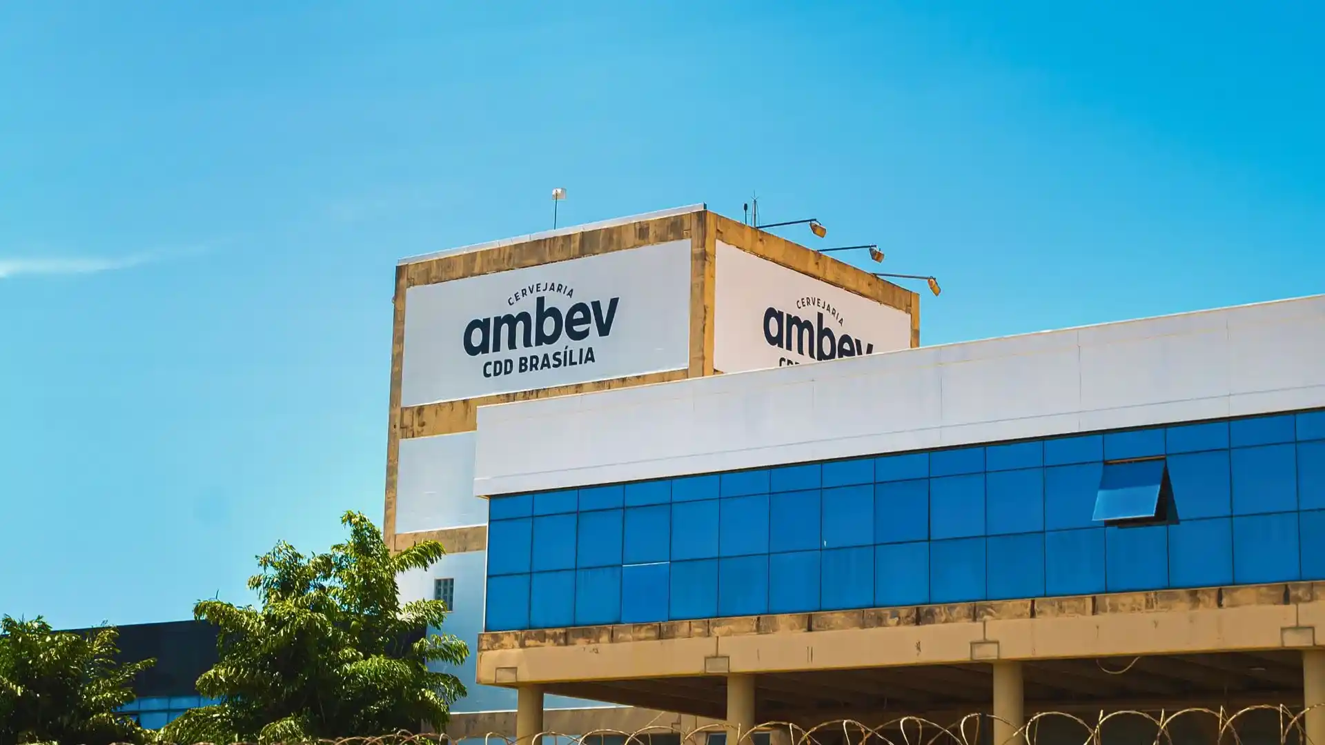Ambev tem lucro líquido de R$ 3,82 bi no 1TRI25 e libera R$ 2 bi em dividendos