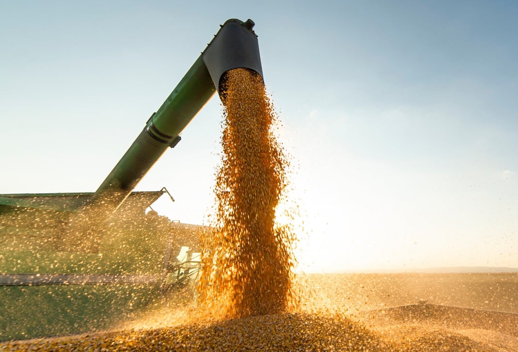 China amplia compras de soja do Brasil e reduz importações dos EUA em julho