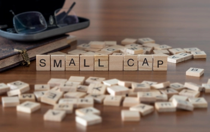 BTG inclui Minerva, Track&Field e GPS em carteira de small caps para outubro