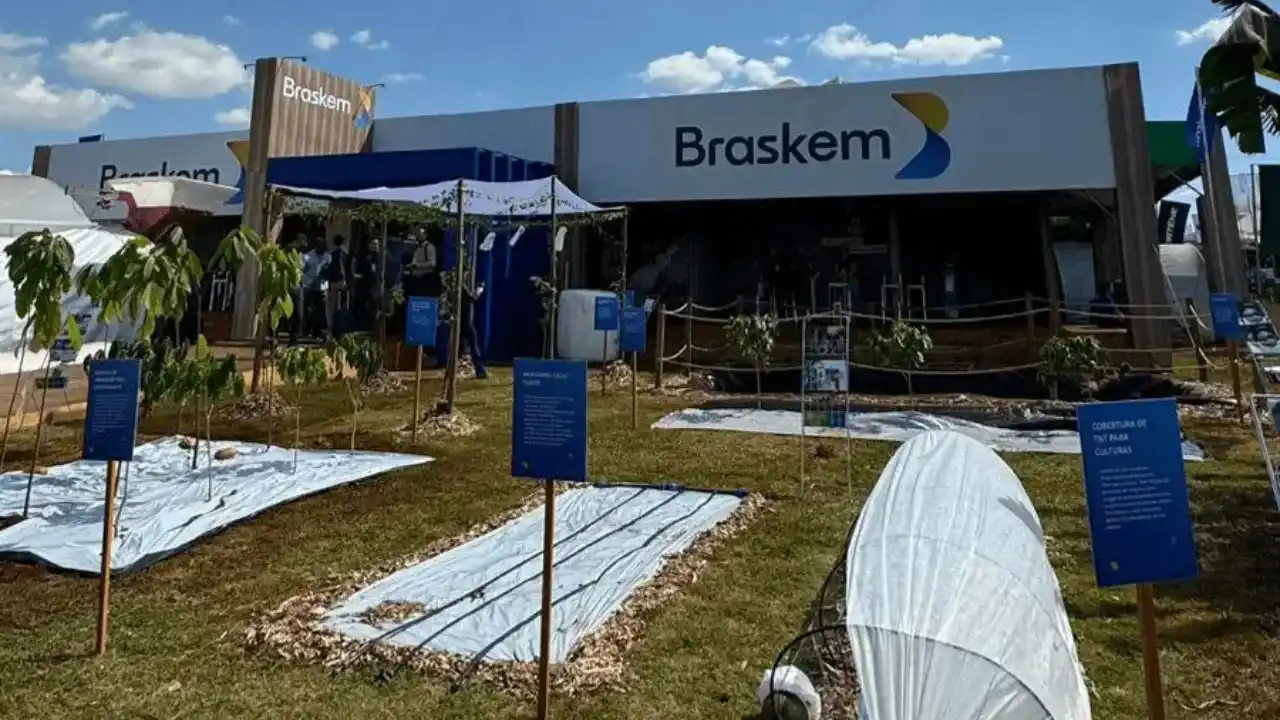 Fotografia em plano aberto de um grande pavilhão de exposições da Braskem em uma feira agrícola sob céu azul com nuvens. A estrutura moderna exibe painéis brancos com o logotipo da marca em azul e amarelo. Em frente ao estande, há uma área gramada com pequenas mudas de árvores plantadas e fileiras de solo cobertas por mantas plásticas brancas de proteção (mulching). Pequenas placas azuis com textos informativos, como "COBERTURA DE TNT PARA CULTURAS", estão fixadas em estacas de madeira ao longo do espaço demonstrativo.
