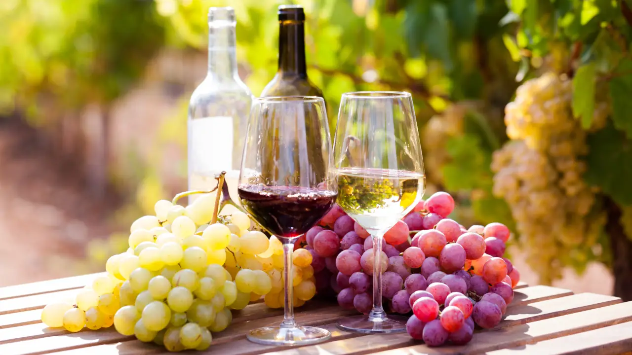 Italian Wine Week em Nova York