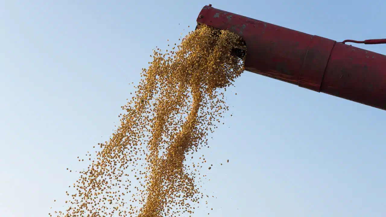 El Niño pode reduzir safra brasileira de soja em 9,7% na temporada 2026/27